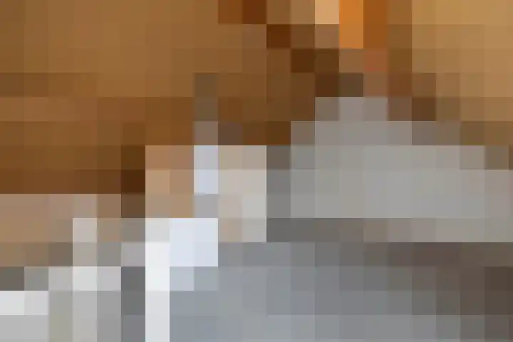 Purmer 18 Emmeloord thumbnail 33