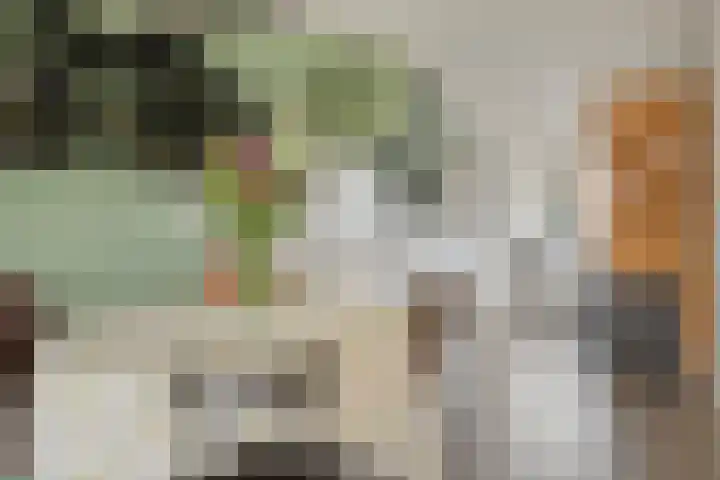 Purmer 20 Emmeloord thumbnail 13