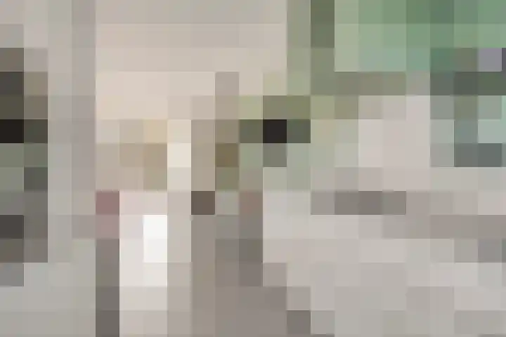 Purmer 20 Emmeloord thumbnail 14