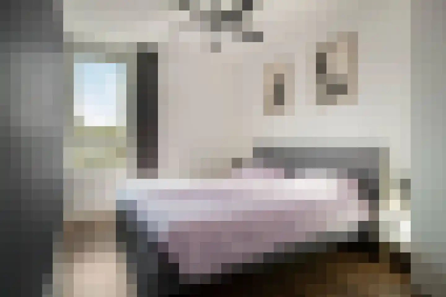 Purmer 20 Emmeloord thumbnail 16