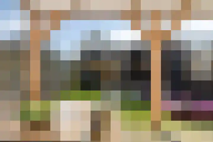 Purmer 20 Emmeloord thumbnail 32