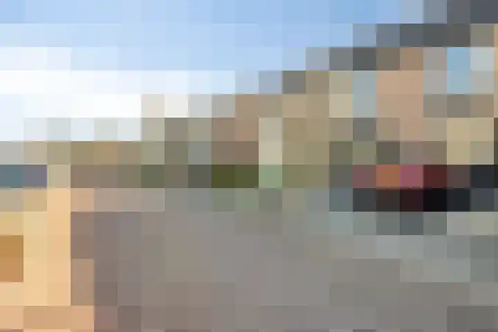 Purmer 20 Emmeloord thumbnail 36