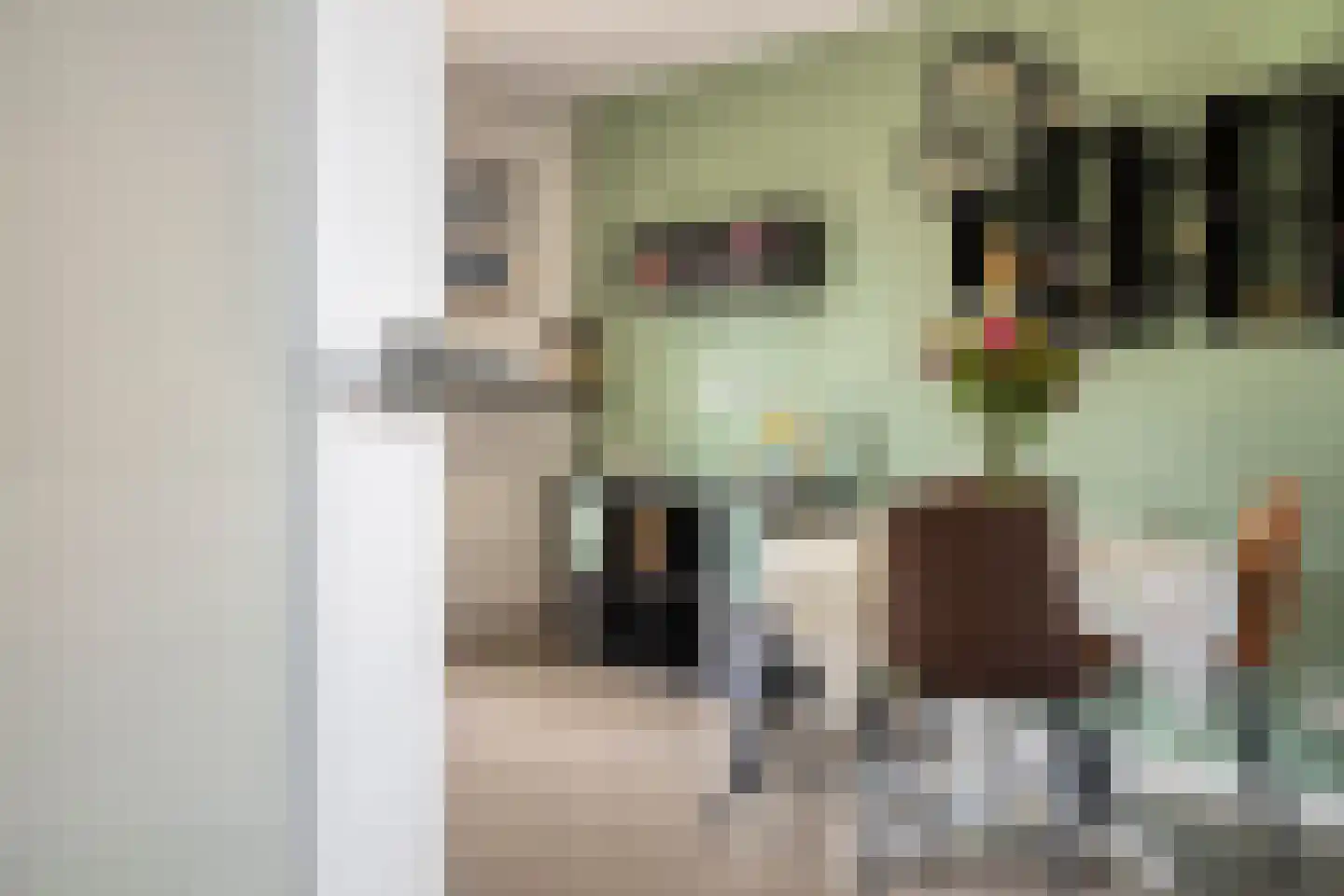 Purmer 20 Emmeloord thumbnail 7