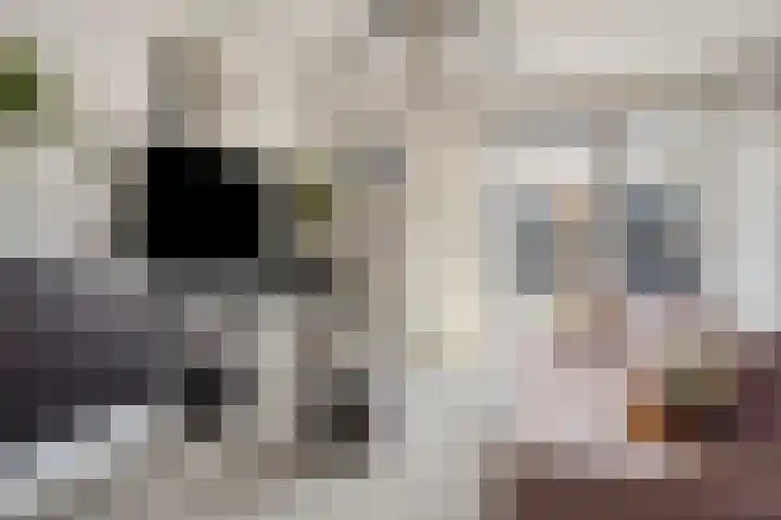 Purmer 20 Emmeloord thumbnail 8