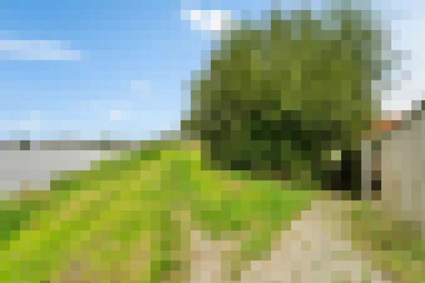 Purmer 48 Lelystad thumbnail 33