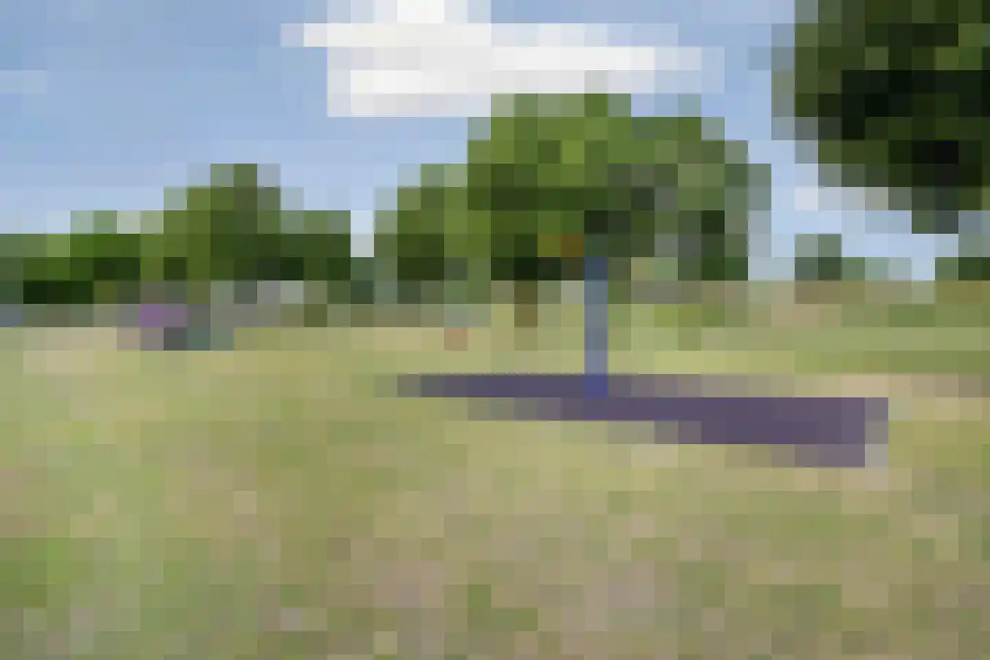 Purmer 5 Lelystad thumbnail 46
