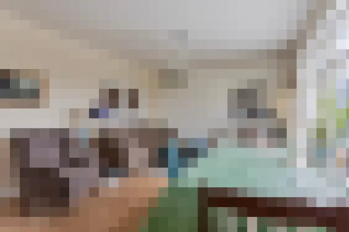 Purmerenderweg 1 Noordbeemster thumbnail 24