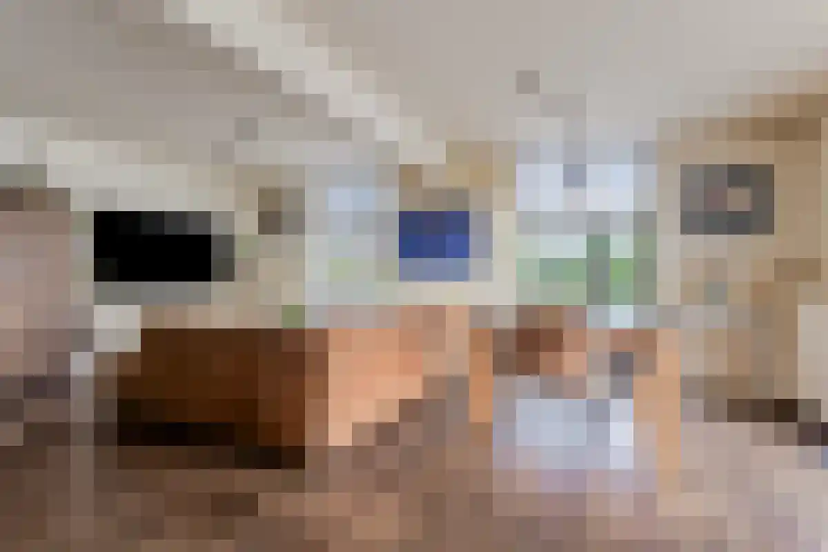 Purmerenderweg 1 Noordbeemster thumbnail 5