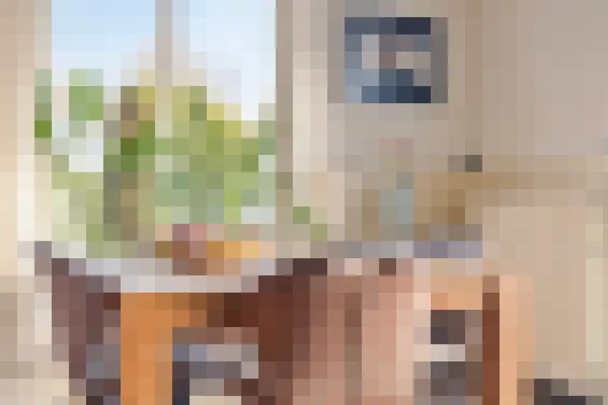 Purmerenderweg 1 Noordbeemster thumbnail 9