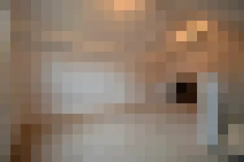 Purmerenderweg 144 Zuidoostbeemster thumbnail 4