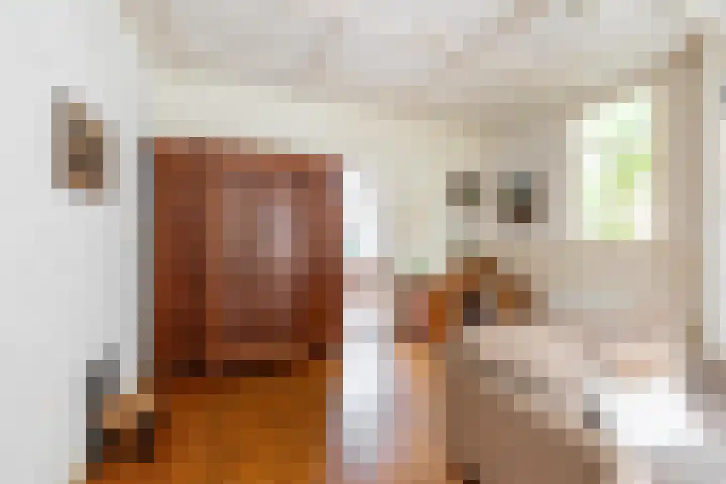 Purmerenderweg 183 Zuidoostbeemster thumbnail 15