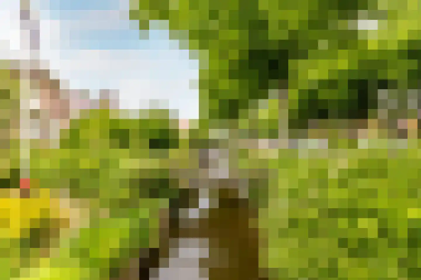 Purmerenderweg 183 Zuidoostbeemster thumbnail 34
