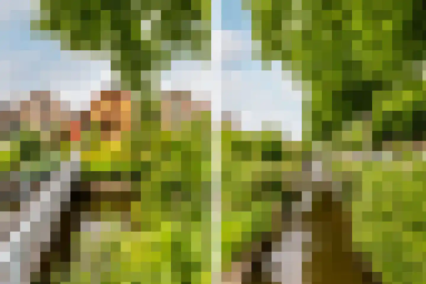 Purmerenderweg 183 Zuidoostbeemster thumbnail 5