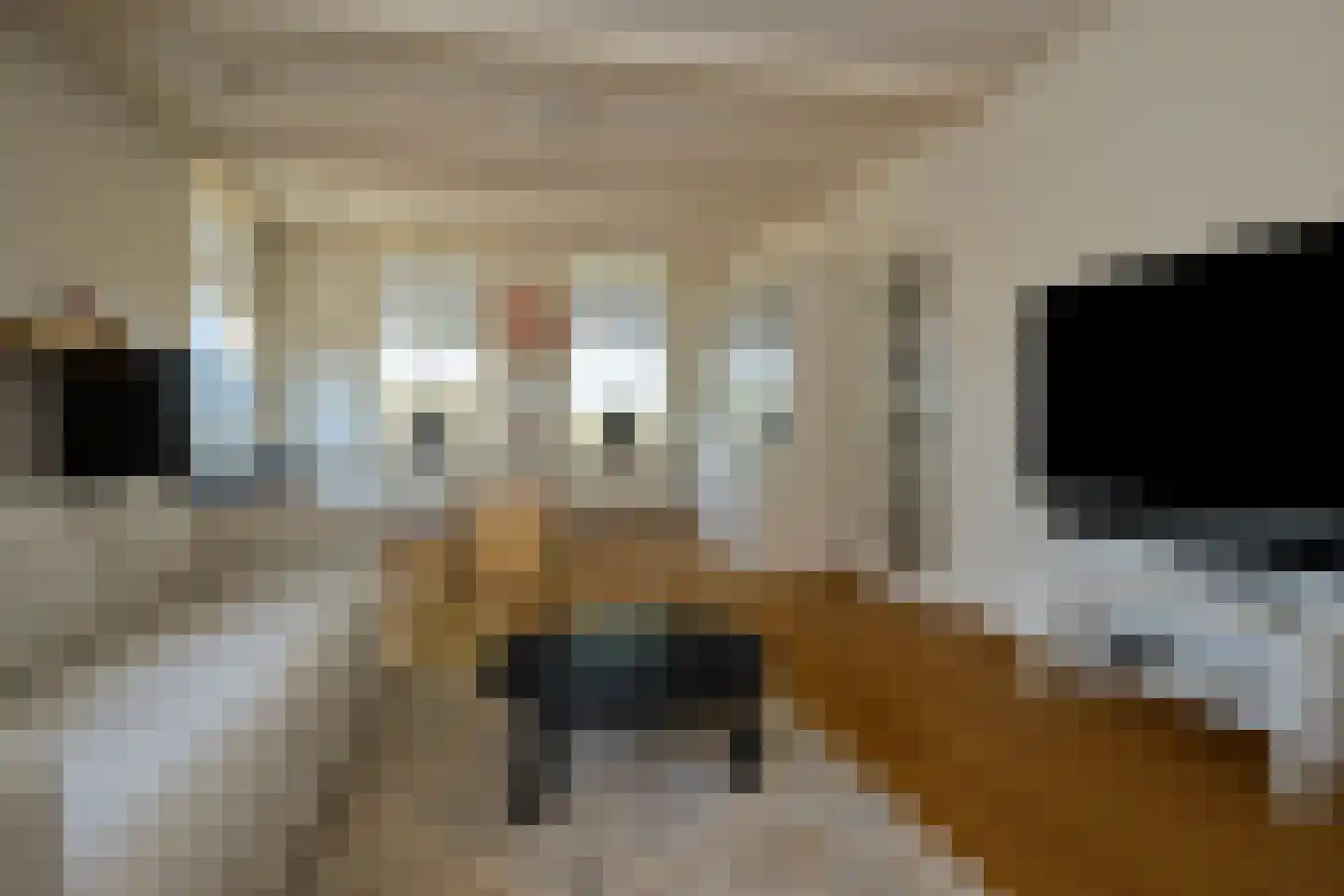 Purmerenderweg 19 Zuidoostbeemster thumbnail 16