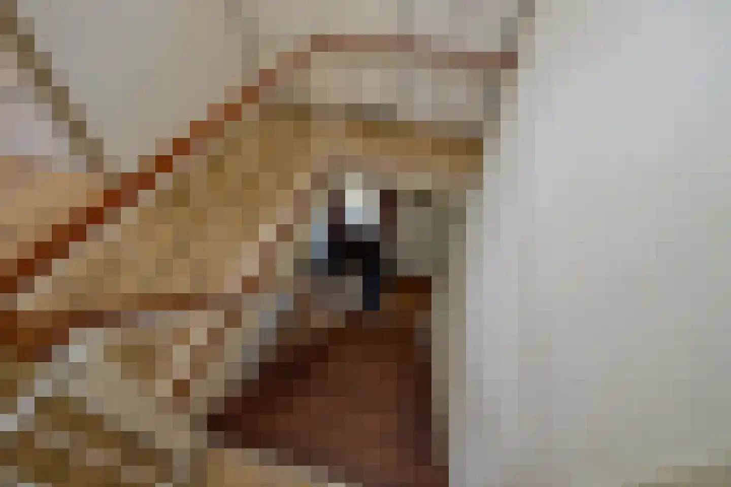 Purmerenderweg 19 Zuidoostbeemster thumbnail 24