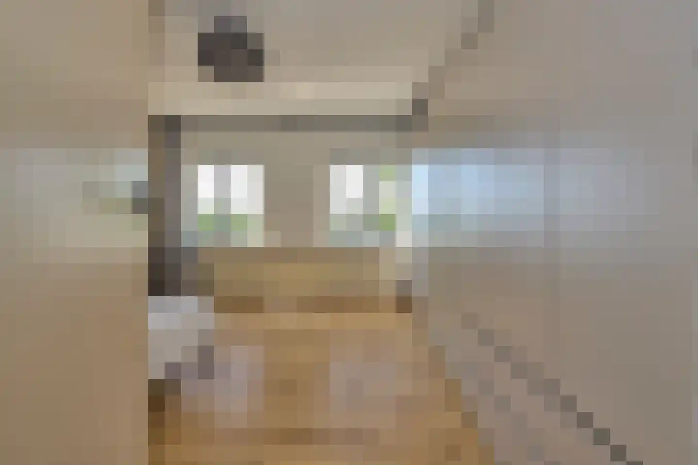 Purmerenderweg 19 Zuidoostbeemster thumbnail 29
