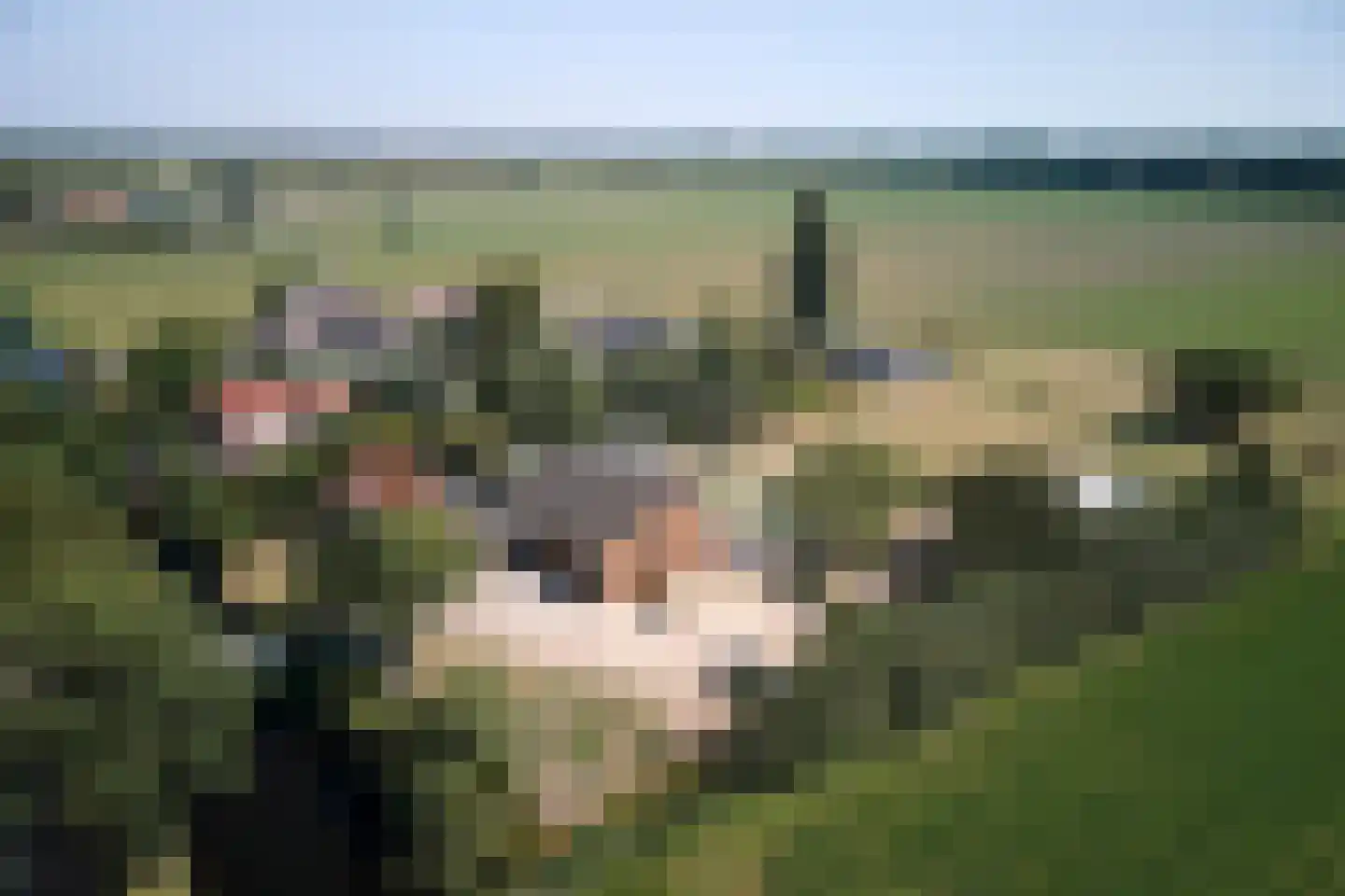 Purmerenderweg 19 Zuidoostbeemster thumbnail 6
