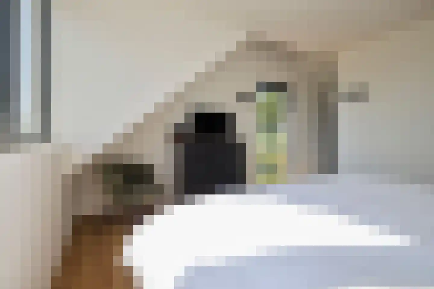 Purmerenderweg 19 Zuidoostbeemster thumbnail 62