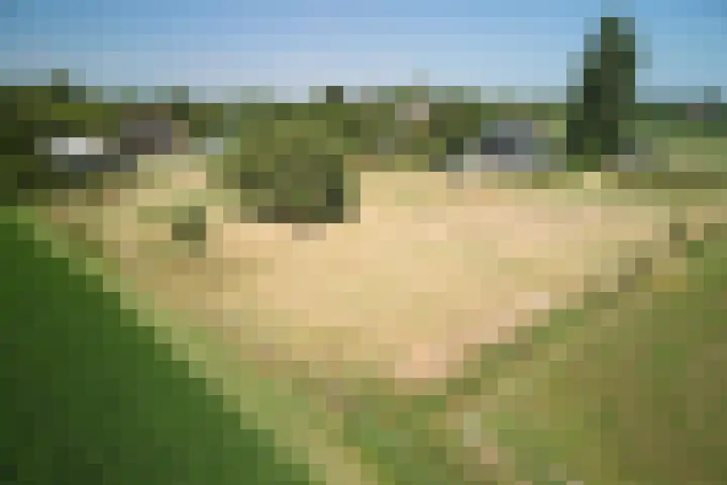 Purmerenderweg 19 Zuidoostbeemster thumbnail 81