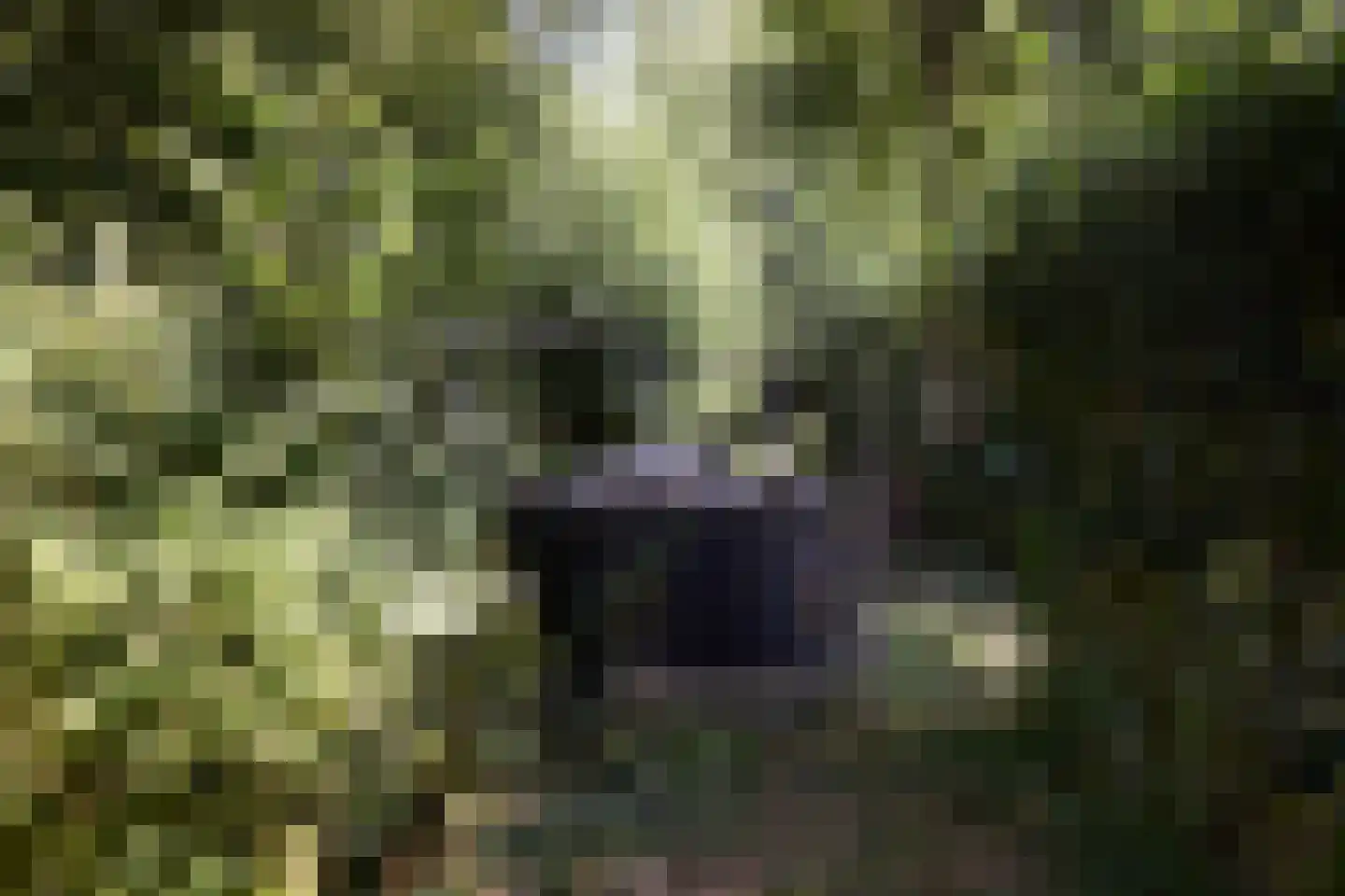 Purmerenderweg 19 Zuidoostbeemster thumbnail 86