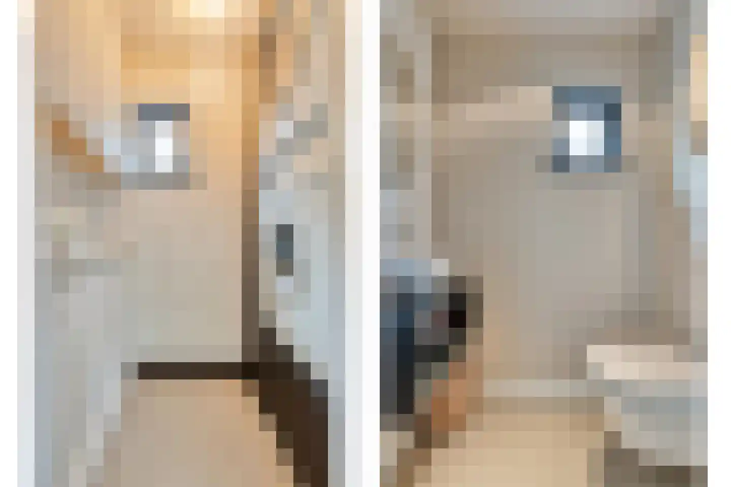 Purmerenderweg 195 Zuidoostbeemster thumbnail 13