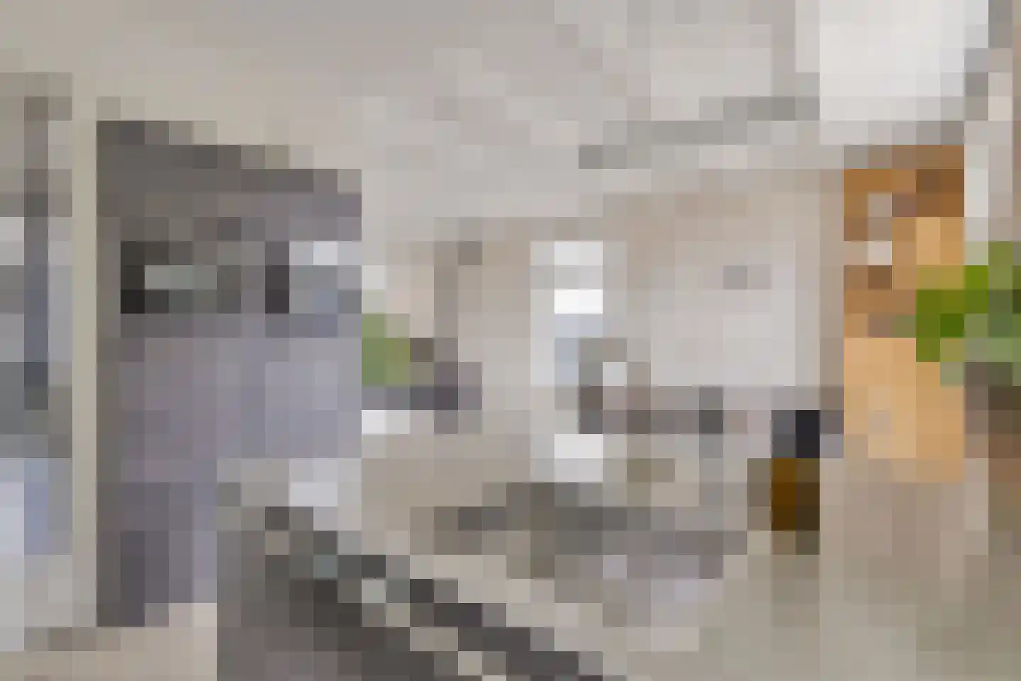Purmerenderweg 195 Zuidoostbeemster thumbnail 32