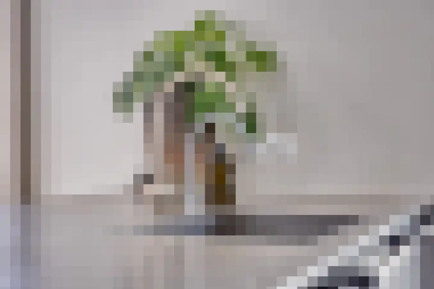 Purmerenderweg 195 Zuidoostbeemster thumbnail 33