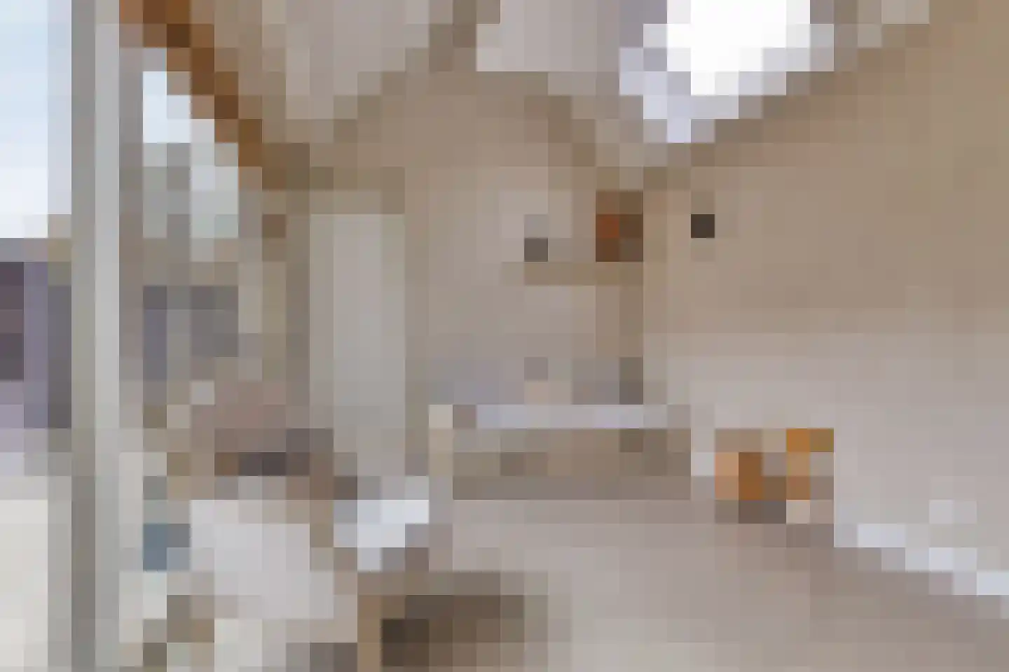Purmerenderweg 195 Zuidoostbeemster thumbnail 35