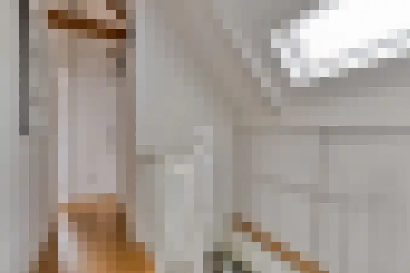 Purmerenderweg 195 Zuidoostbeemster thumbnail 38