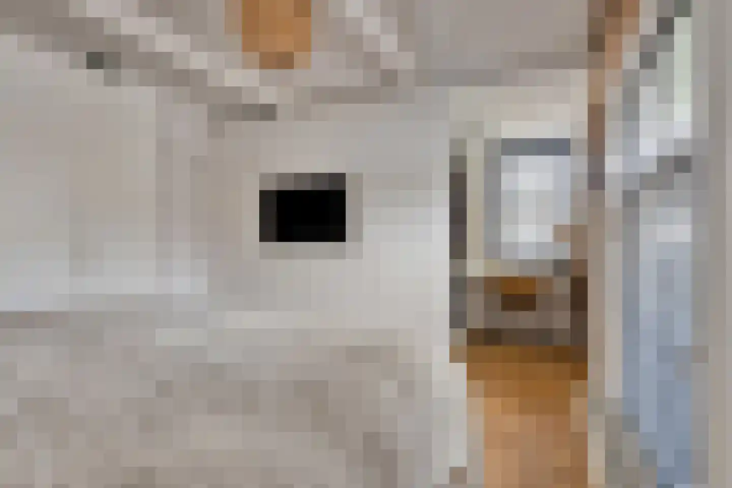 Purmerenderweg 195 Zuidoostbeemster thumbnail 41