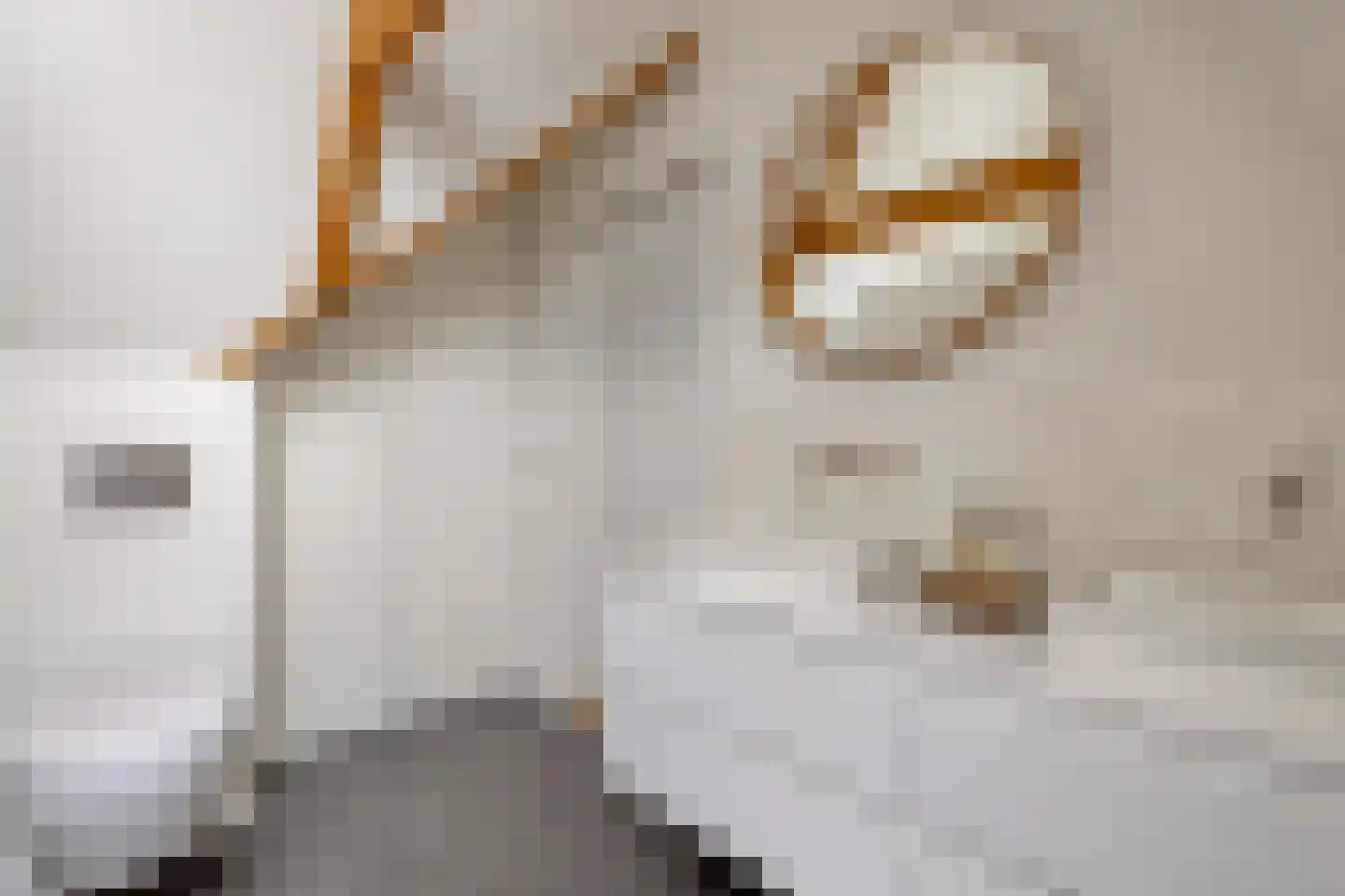 Purmerenderweg 195 Zuidoostbeemster thumbnail 43