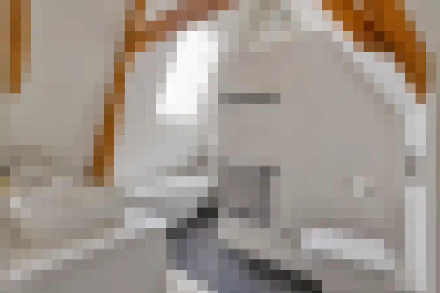 Purmerenderweg 195 Zuidoostbeemster thumbnail 5