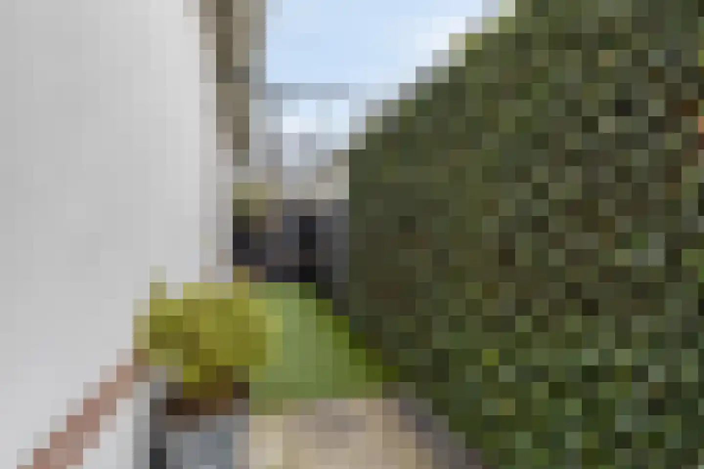 Purmerenderweg 195 Zuidoostbeemster thumbnail 55