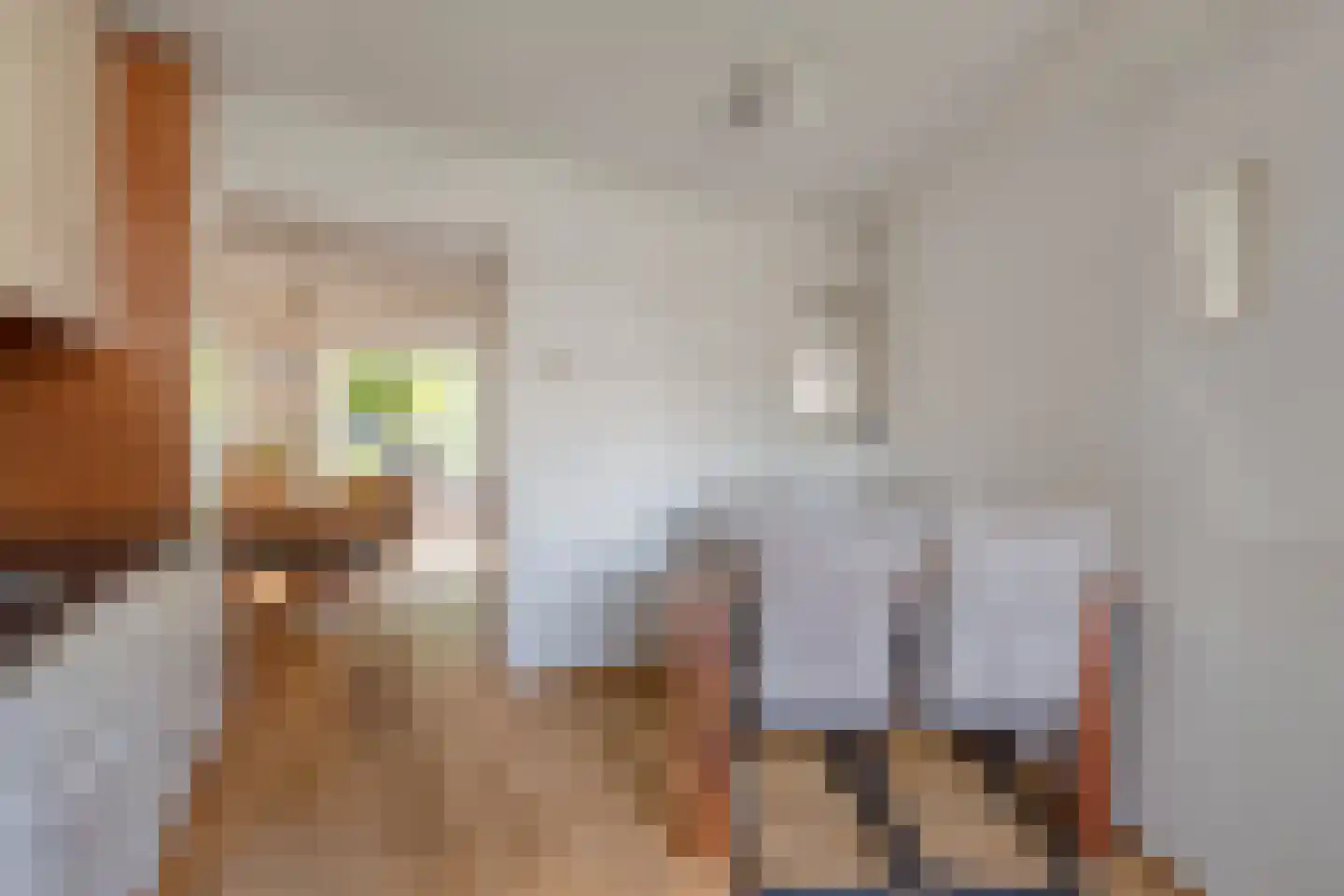 Purmerenderweg 197 Zuidoostbeemster thumbnail 17