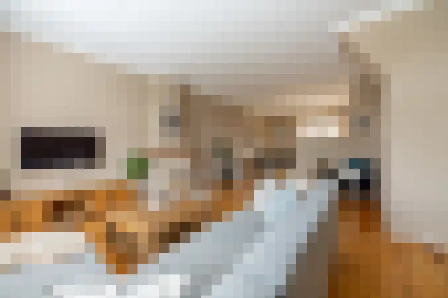 Purmerenderweg 198 Zuidoostbeemster thumbnail 10