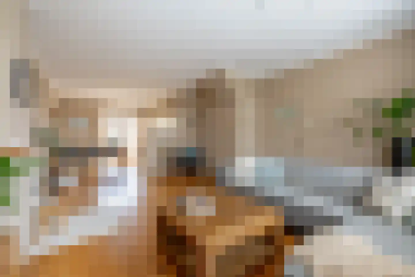 Purmerenderweg 198 Zuidoostbeemster thumbnail 11