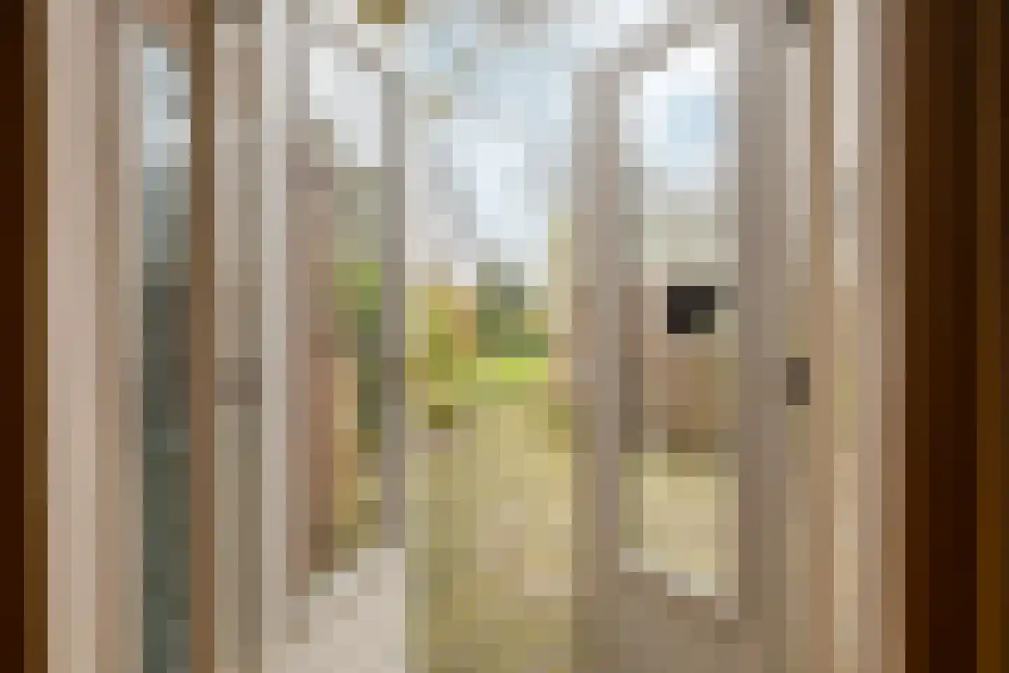 Purmerenderweg 198 Zuidoostbeemster thumbnail 21