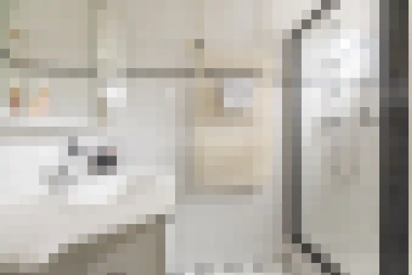 Purmerenderweg 198 Zuidoostbeemster thumbnail 23
