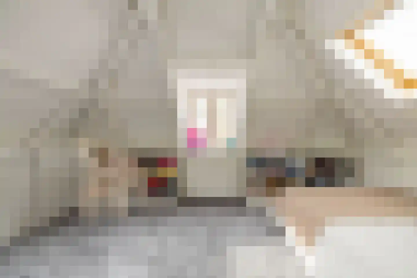 Purmerenderweg 198 Zuidoostbeemster thumbnail 38