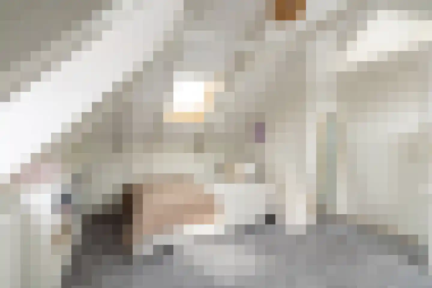 Purmerenderweg 198 Zuidoostbeemster thumbnail 39