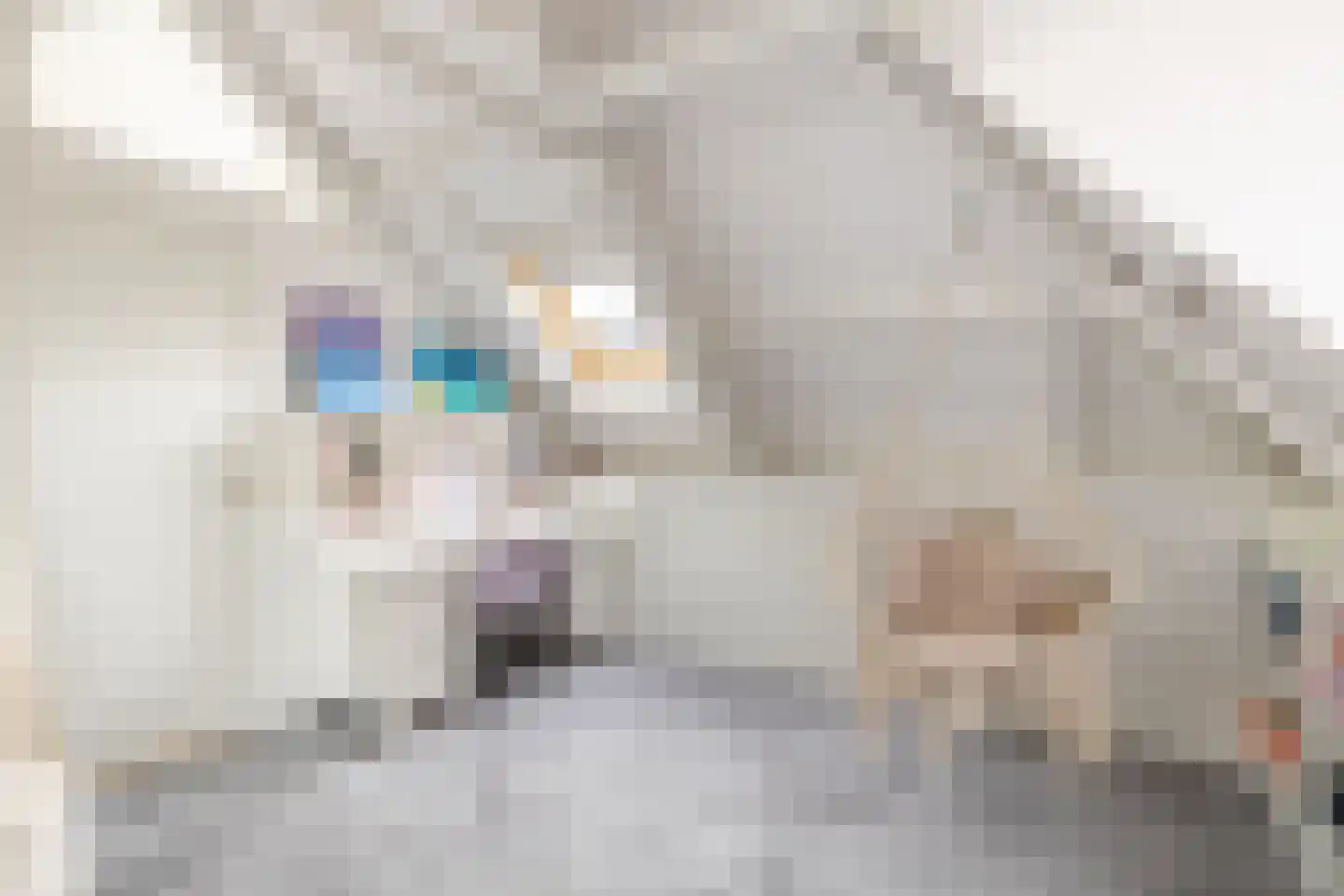 Purmerenderweg 198 Zuidoostbeemster thumbnail 40
