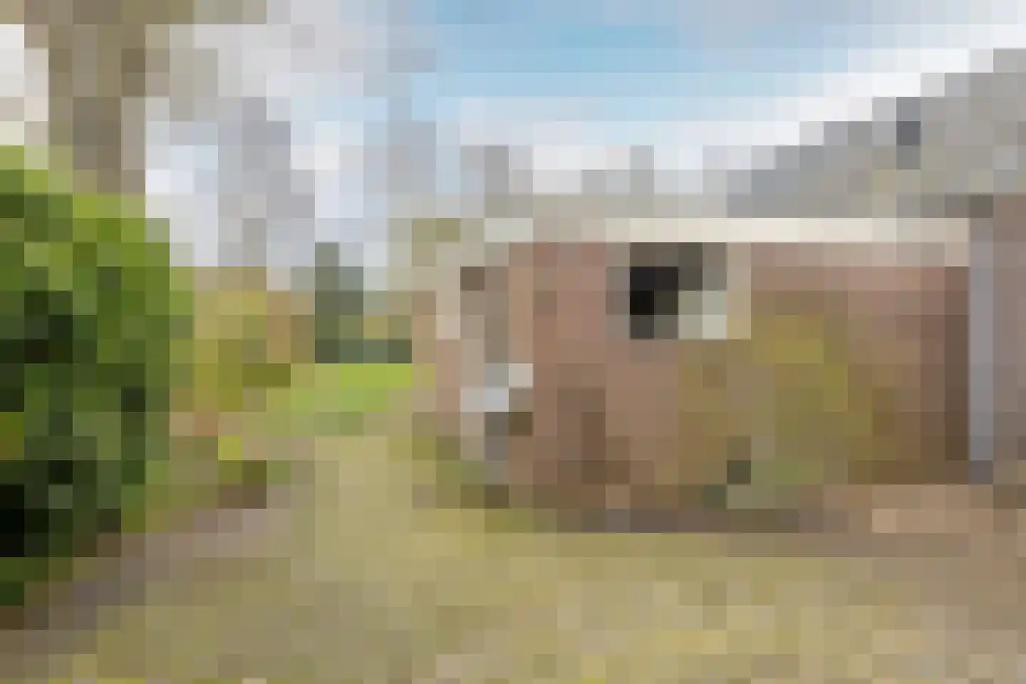 Purmerenderweg 198 Zuidoostbeemster thumbnail 44