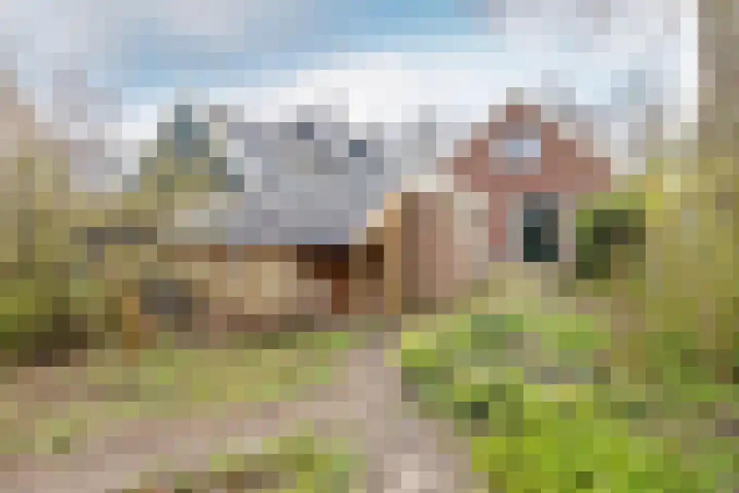 Purmerenderweg 198 Zuidoostbeemster thumbnail 49