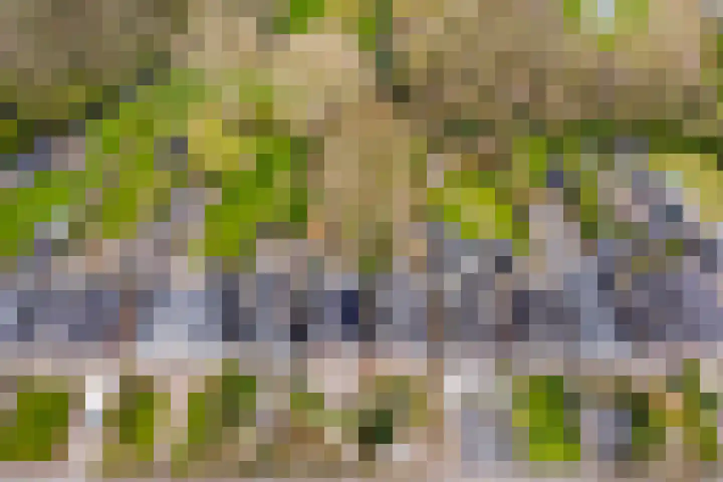 Purmerenderweg 198 Zuidoostbeemster thumbnail 50