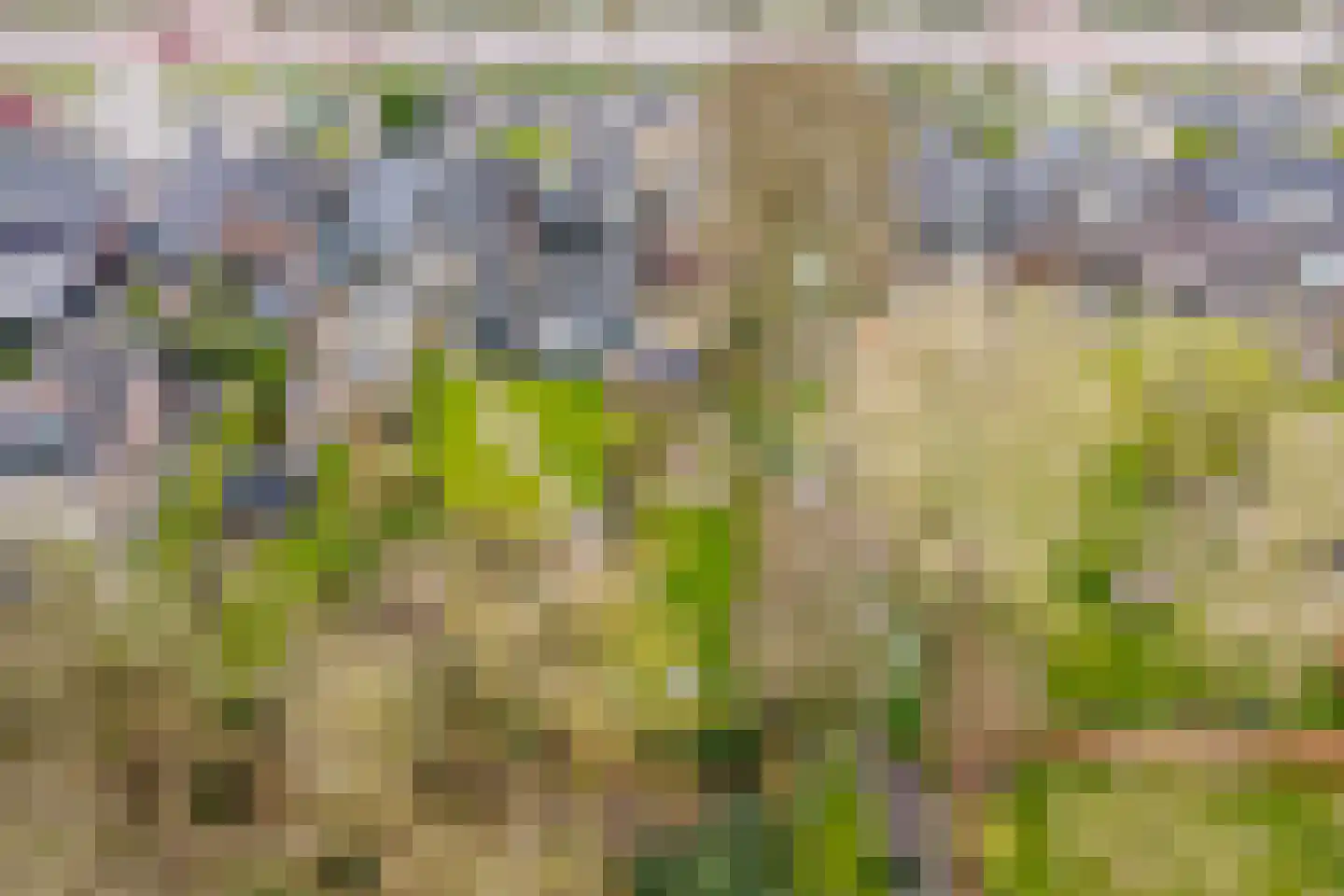 Purmerenderweg 198 Zuidoostbeemster thumbnail 51