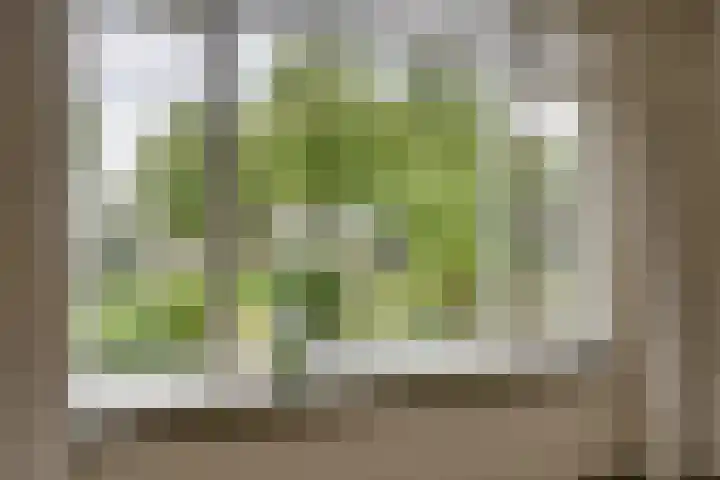 Purmerenderweg 206 Zuidoostbeemster thumbnail 12