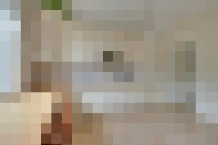 Purmerenderweg 206 Zuidoostbeemster thumbnail 18