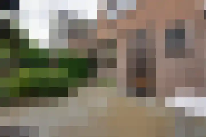 Purmerenderweg 206 Zuidoostbeemster thumbnail 23