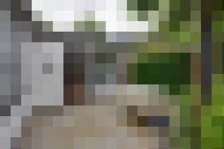 Purmerenderweg 206 Zuidoostbeemster thumbnail 24