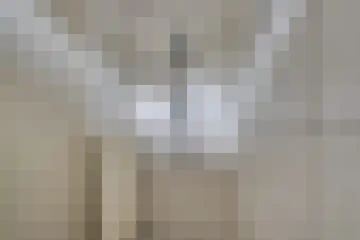 Purmerenderweg 206 Zuidoostbeemster thumbnail 27